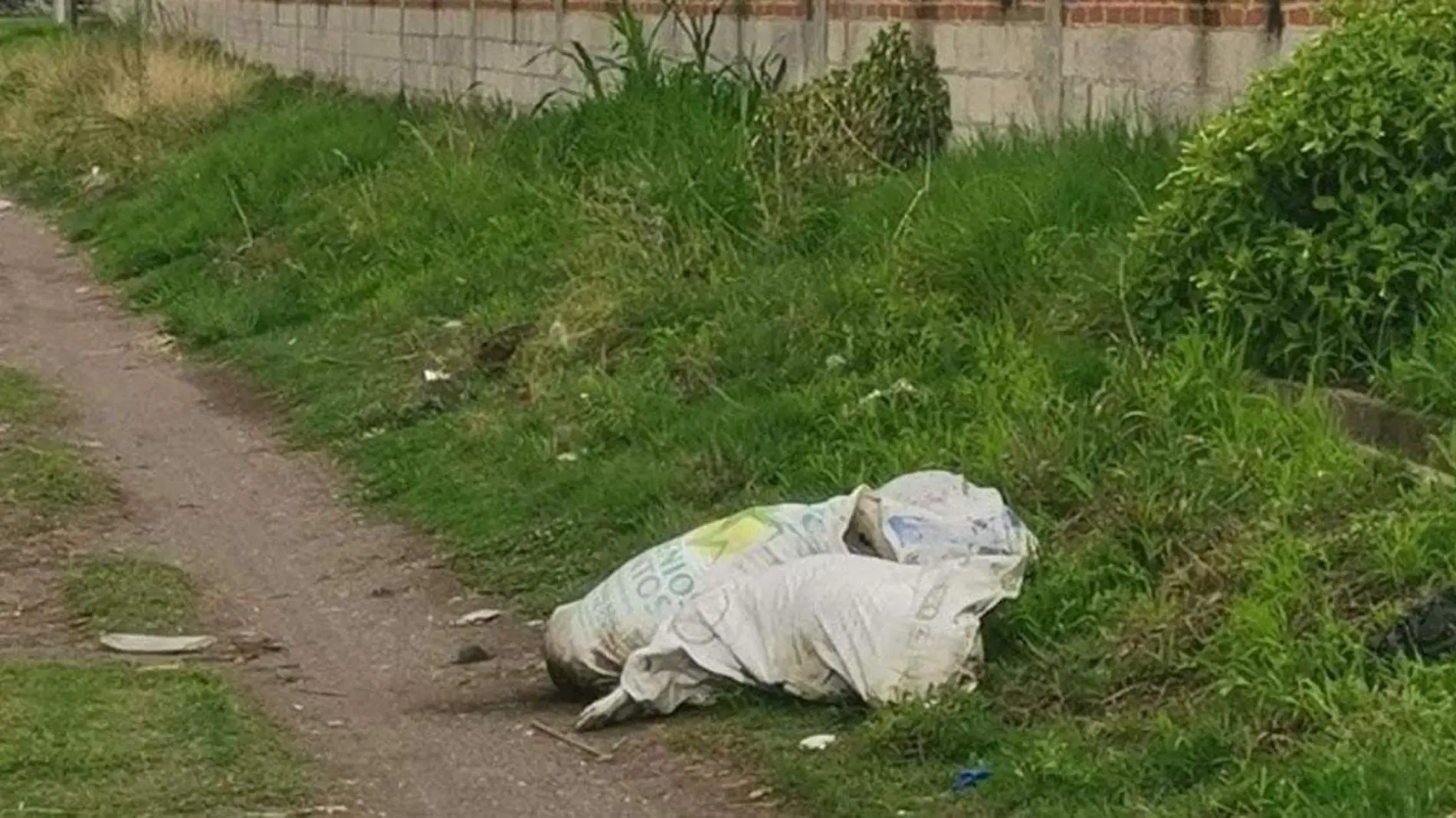 Fueron hallados dos costales con tres perros muertos en su interior en inmediaciones del panteón de Santa María Moyotzingo